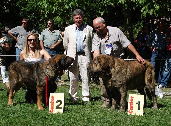 Champion Class Males - Campeones Machos - Barrios de Luna 09.09.2007
Cueto Negro + Autocan
Keywords: 2007