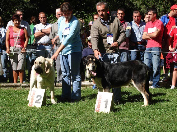 Ring Best Puppy 2 (Tornado Erben) & 1 (Los Zumbos) - Barrios de Luna 09.09.2007
Kľúčové slová: 2007