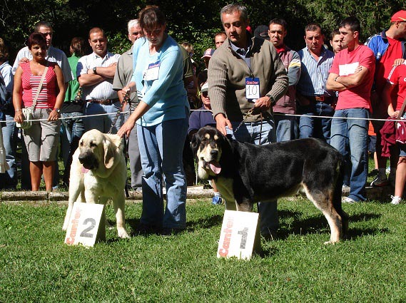 Ring Best Puppy 2 (Tornado Erben) & 1 (Los Zumbos) - Barrios de Luna 09.09.2007
Keywords: 2007