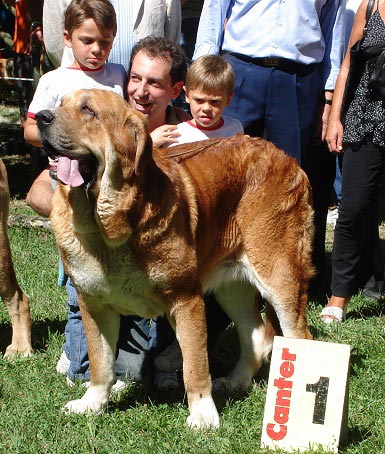 Best Open Class Males - Mejor Clase Abierta Machos - Barrios de Luna 09.09.2007
Nøkkelord: 2007