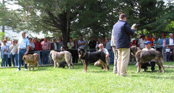 Open Class Males - Barrios de Luna, León, 12.09.2004
Keywords: 2004