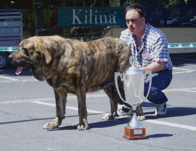 Cinga z Kraje Sololu - Best in Show - Andra Mari de Getxo, Vizcaya, 13.06.2004
 

Keywords: 2004