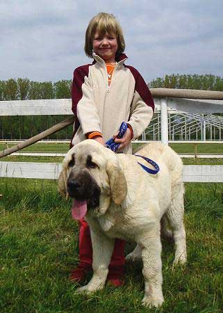 Lois Tornado Erben - Very Promising 1, PRIMA BABY - Baby Class Females, Moloss Club Show, Mlada Boleslav 05.05.2007
Basil Mastifland x Florita Maja Tornado Erben 

Photo: Lenka Erbenova - © Copyright. 
Keywords: 2007 kids tornado