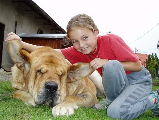 Druso de la Aljabara 3 years old and Tereza
Keywords: kids tornado