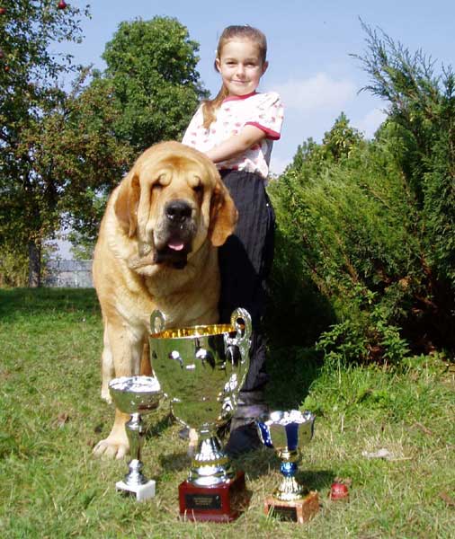 Druso de la Aljabara - Club Show of Columella Molosser Club - Budapest, Hungary - 02.10.2004
Exc. 1, CAC, Club Winner, BOB, 3rd Best Dog of Club show (BIS 3)  

Keywords: 2004 tornado
