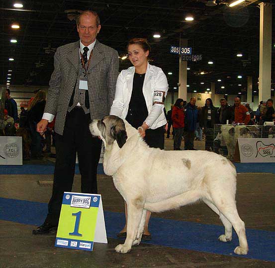 MOTLEY HOUSE LUXURY SPRING DAY: EXC 1, CAC, CACIB, BOB - European Winner - Euro Dog Show 2008, Budapest, Hungary 03-05.10.2008
Asocarronado Ha-La-Mu x Hata Fi-It

Keywords: 2008