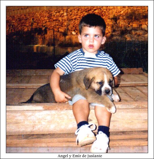 Emir de Jusiante & Angel
(Merlin x CH Alba de Jusiante)

 

Keywords: jusiante kids puppy cachorro