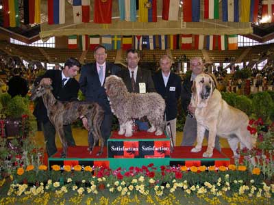 Podium: Final de Razas Españolas - Ch Ron de Autocan - XXIII International Dog Show, Badajoz, Spain - 09.05.2004.
XXIII Exposición Internacional Canina de Badajoz - 9 de mayo de 2004.
Photo: Jaime J. Fenollera  

Keywords: 2004 autocan