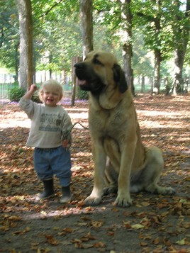 Illan 18 months and Kromagnon 14 mois
Keywords: kromagnon kids