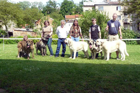 Aylen z Kraje Sokolu: exc 1 Best Veteran, Chebaart Zaark Mastibe: exc 1 CAJC Young Club Winner, Lois Tornado Erben: exc 1 CAJC Young Club Winner BOB BIS Junior, Linda Tornado Erben: exc 1 CAC Club Winner & Lucius Tornado Erben: exc 1 CAC Club Winner -
Aylen z Kraje sokolu - veteran class females
(Ivoire des Oursons du Gabizos x Diana FI-IT)

Chebaart Zaark Mastibe - young class males
(Arak z Kraje Sokolu x Amiga Zazi Bis Mastibe)

Lois Tornado Erben - young class females
(Basil Mastifland x Florita Maja Tornado Erben)

Linda Tornado Erben - open class females
(Basil Mastifland x Florita Maja Tornado Erben)

Lucius Tornado Erben - intermediate class males
(Basil Mastifland x Florita Maja Tornado Erben)

Photo sent by Lenka Erbenova - ©



Keywords: 2008