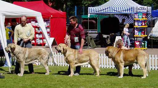 International Show, Leszno, Poland, 30.05. 2004
Keywords: 2004