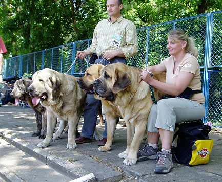 International Show, Leszno, Poland, 30.05. 2004
Keywords: 2004