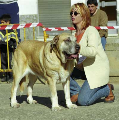 Berta del Cantábrico - Mansilla de las Mulas, León, 08.11.1999
Keywords: 1999 cantabrico