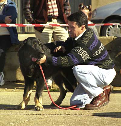 Mansilla de las Mulas, León, 08.11.1999
Keywords: 1999