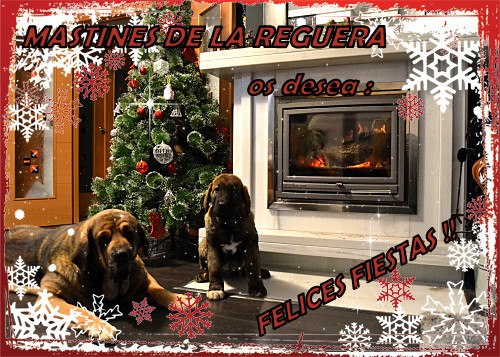 Merry Christmas and Happy New Year 2013 from 'La Reguera', Spain
Keywords: reguera