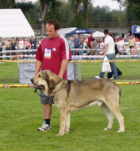 Freon z Kraje Sokolu - Excellent 2 - Open Class Males, International show, Mlada Boleslav 02.09.2007
(Sultan x Aylen z Kraje Sokolu) 
Keywords: 2007 sokol