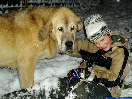 Michael and Sultán from Z Kraje Sokolu
Keywords: sokolu snow nieve