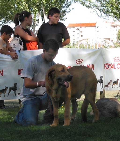 AEPME Monográfica, Valencia de Don Juan, León, 18.09.2004
Keywords: 2004