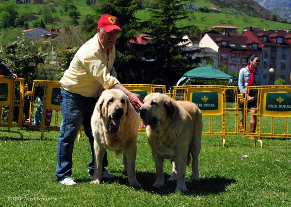 Autocan: 1ª - Pair Class, Arriondas, Asturias, Spain 04.05.2013
Keywords: 2013 autocan