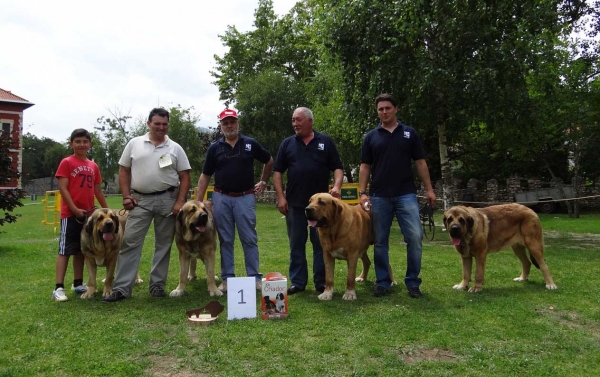 Best Breeding Group: Calella de Otur, Cangas de Onis, Asturias, Spain 05.07.2014
Keywords: 2014