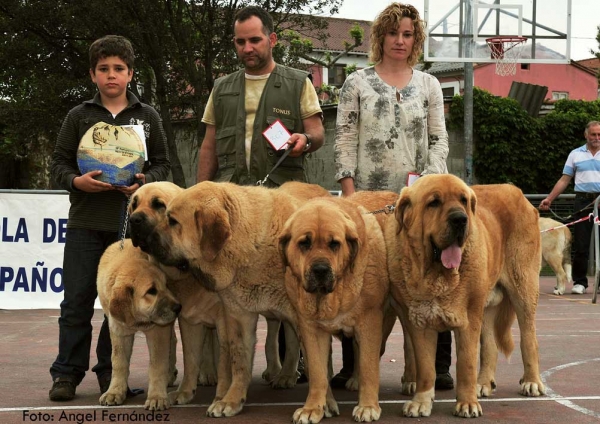 Best Breeding Group / Mejor Grupo de Cría: Tierra de Órbigo - Loredo, Santander 30.04.2011
Keywords: 2011