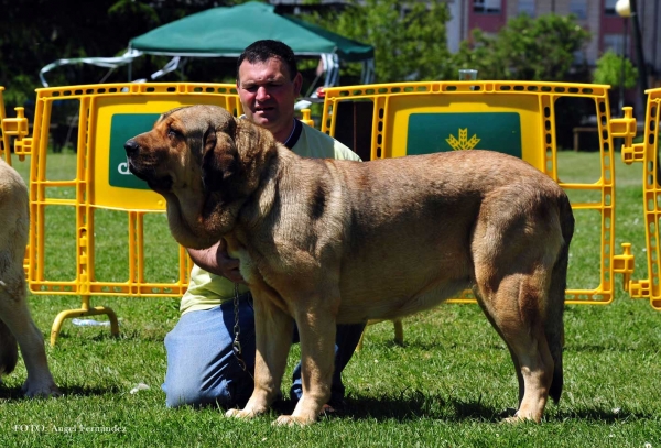 Bea de La Calella de Otur: EXC 3ª - Open Females, Arriondas, Asturias, Spain 04.05.2013
Keywords: 2013 calellaotur