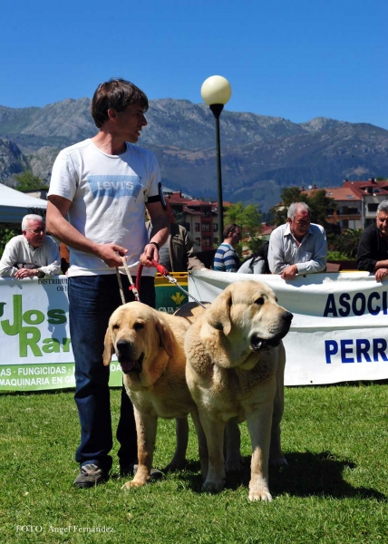 Rio Oscuro: 4ª - Pair Class, Arriondas, Asturias, Spain 04.05.2013
Keywords: 2013