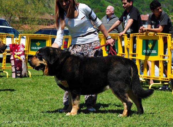 Unica de Los Cuatro Elementos: EXC 5ª - Open Females, Arriondas, Asturias, Spain 04.05.2013
Keywords: 2013 cuatro