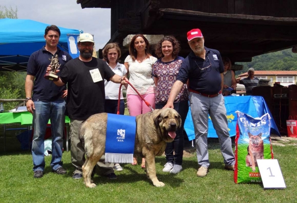 BIS: Quinta de Fuentemimbre, Cangas de Onis, Asturias, Spain 05.07.2014
Keywords: 2014 fuentemimbre