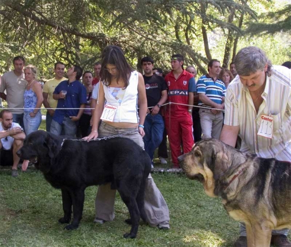 Open Class Males - Barrios de Luna 10.09.2006
No. 112
No. 113
Keywords: 2006