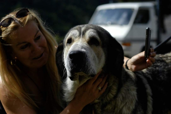 Luna, madre de Lulú
