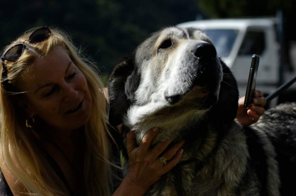 Luna, madre de Lulú
