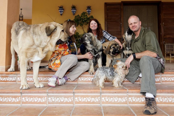 New puppies
Bora and Elda: Capitan de Babia x Triana de la Portiecha - born 29.  july 2916
Creta: Junco de la Portiecha x Cala de El Siledín - born 14. august  2016

