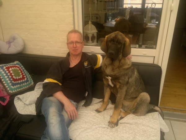 Frekes Bina called 'Cherie'
Bathin Tornado Erben X Brisa de Abelgas
Born: 09.10.2012

