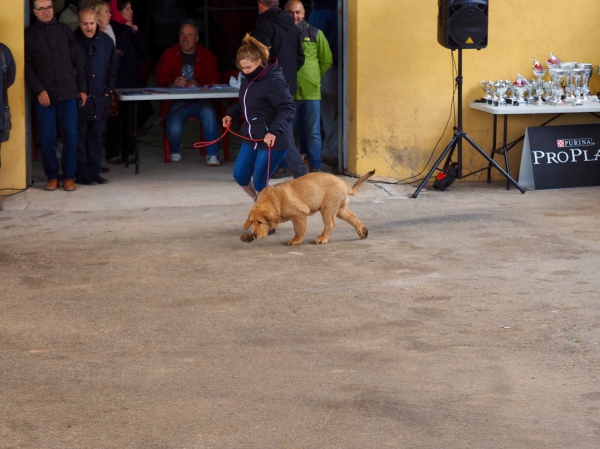 Jabaga, Cuenca, Spain, 29.04.2017 (AEPME)
Kľúčové slová: 2017