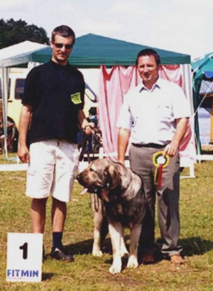 Bancia Dobra Rasa - Show Winner Trakai Cup 2004, Lithunia
International Dog Show - Trakai Cup 04, Lithuania 
Challenger for the Lithuanian Champion LT CAC 
Challenger for the International Champion CACIB, 
Show Winner
(Basil Mastifland x Carina z Karolewka)
Photo by: andrzejlapinski  

Keywords: 2004 herbu