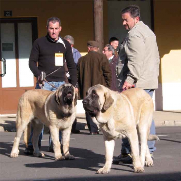 Ron & Sansón - Mansilla de las Mulas 07.11.2004
Keywords: 2004 baolamadera