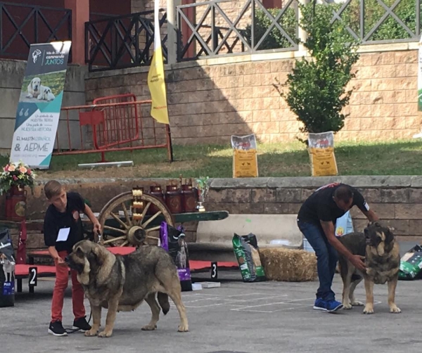 Los Piscardos - Villablino, León, Spain 05.08.2017 (AEPME)
Keywords: 2017 piscardos