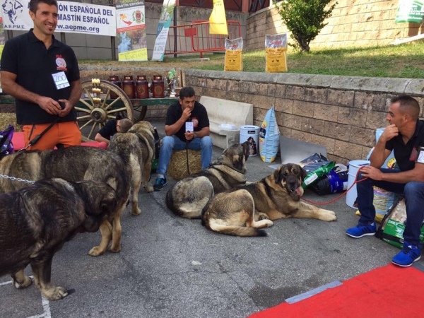 Los Piscardos - Villablino, León, Spain 05.08.2017 (AEPME)
Keywords: 2017 piscardos