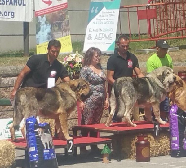 Los Piscardos - Villablino, León, Spain 05.08.2017 (AEPME)
Keywords: 2017 piscardos