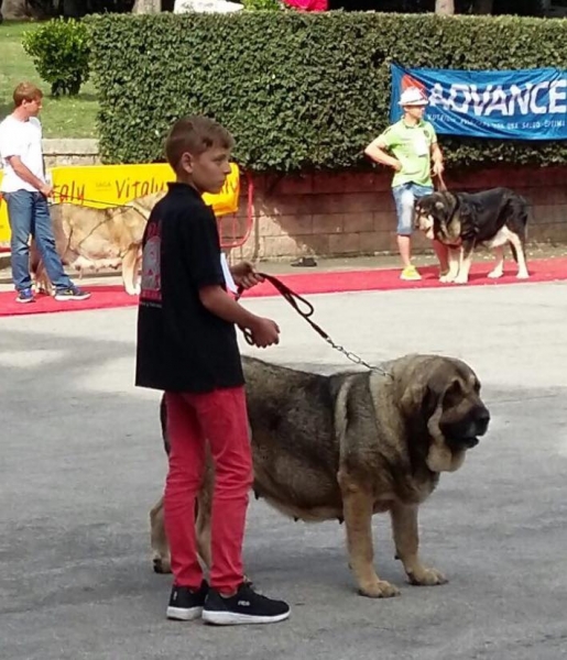 Los Piscardos - Villablino, León, Spain 05.08.2017 (AEPME)
Keywords: 2017 piscardos