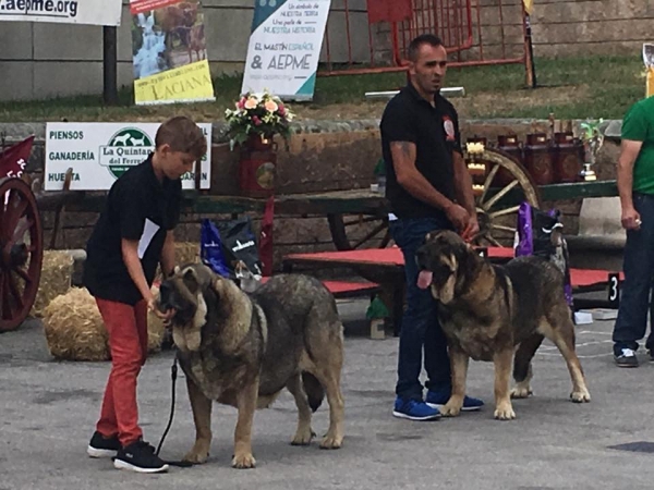 Los Piscardos - Villablino, León, Spain 05.08.2017 (AEPME)
Keywords: 2017 piscardos