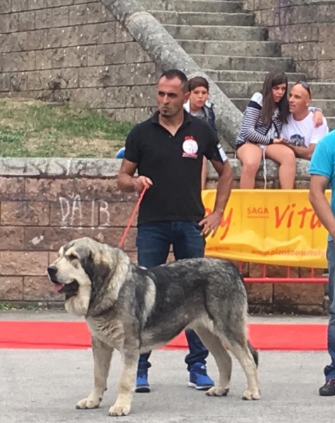 Los Piscardos - Villablino, León, Spain 05.08.2017 (AEPME)
Keywords: 2017 piscardos