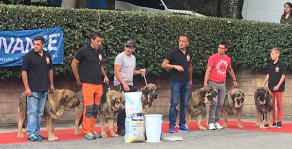 Los Piscardos - Villablino, León, Spain 05.08.2017 (AEPME)
Keywords: 2017 piscardos