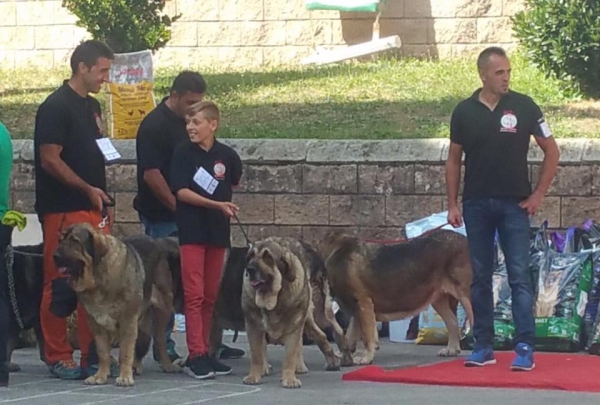 Los Piscardos - Villablino, León, Spain 05.08.2017 (AEPME)
Keywords: 2017 piscardos