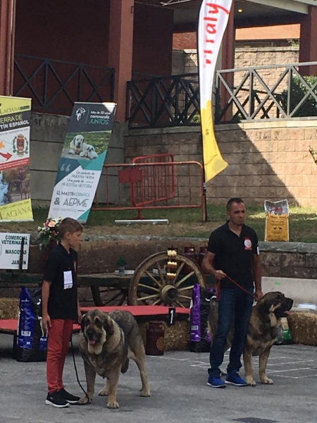 Los Piscardos - Villablino, León, Spain 05.08.2017 (AEPME)
Keywords: 2017 piscardos