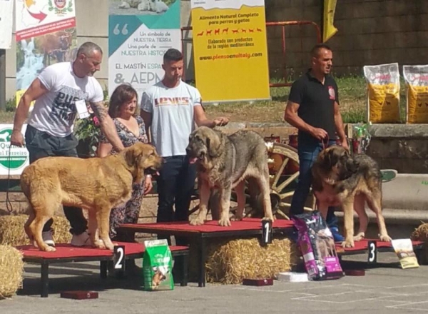 Los Piscardos - Villablino, León, Spain 05.08.2017 (AEPME)
Keywords: 2017 piscardos