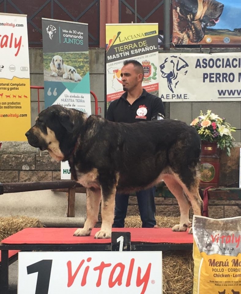 Los Piscardos - Villablino, León, Spain 05.08.2017 (AEPME)
Keywords: 2017 piscardos