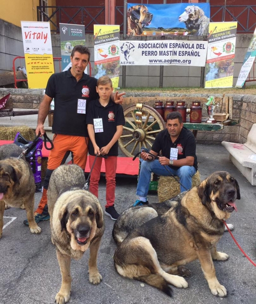 Los Piscardos - Villablino, León, Spain 05.08.2017 (AEPME)
Keywords: 2017 piscardos