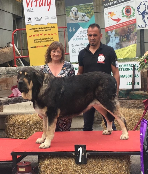 Los Piscardos - Villablino, León, Spain 05.08.2017 (AEPME)
Keywords: 2017 piscardos